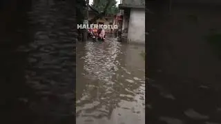 Condition of heavy rain in Malerkotla 🌧️ #trending #viral #heavyrain #malerkotla #condition