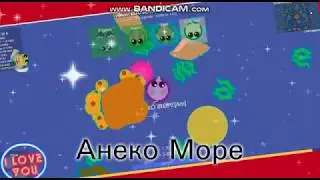 Играем в Mope io | ANEKO MORE