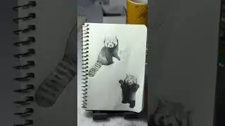 #artideas #arttutorials #cuteanimals #cutevideo #redpanda #howtodrawredpanda #paintingsforbeginners