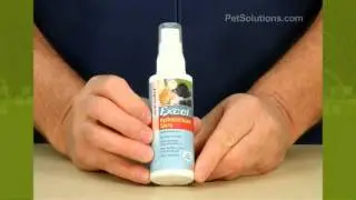 PetSolutions: Excel Hydrocortisone Spray