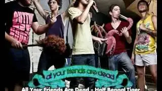 Top - Post-Hardcore / Screamo / Mall Emo / Metalcore [pt1]