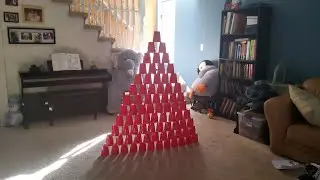 11 cups stack Tower falls down.