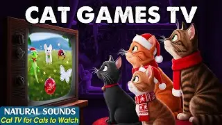 CAT GAMES TV 😽🎄Live-stream Christmas Music Games for indoor Cats－Anti-Stress Video for CATS & CAT TV