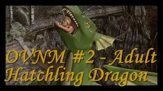 OVNM #2 - Adult Hatchling Dragon