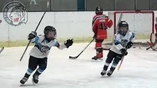 Bílí Tygři Liberec: ročník 2012 (23.3.2019) TURNAJ FRÝDLANT