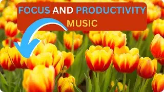 Achieve Focus and Productivity with Tulip Serenity