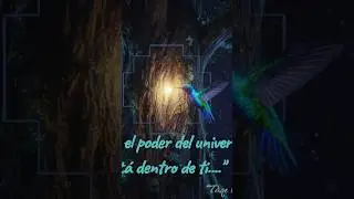 energ&iacute;a consciente del presente adsoluto KAYPACHA ✨🙌🌀🫂