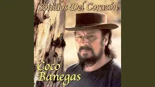 Perdón