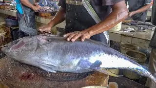 DARNE TYPE CUTTING 2023 || PERFECT TUNA FISH CUTTING SKILLS