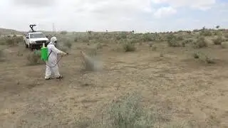Department of Plant Protection - DPP