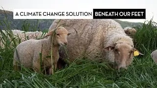 A Climate Change Solution Beneath Our Feet