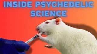 Behandlung von Depressionen mit Ketamin und Psilocybin