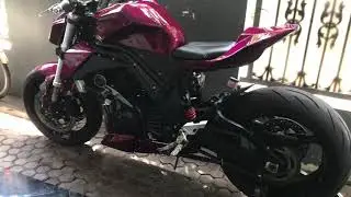 Ninja 250 R Custom Street Fighter