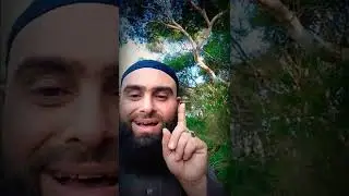 لفتة عجيبة في حديث الساعي على الأرملة والمسكين...