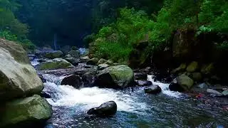 Nature's Lullaby - Relaxing River Vibe for Sleep | sleep - relax - enjoy life - ASMR
