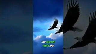 Declare It! Watch the Eagles Soar as Your Path Lights Up! #shorts