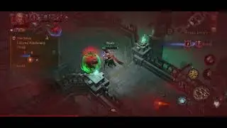 This is not OP druid xD diablo immortal 