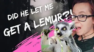 The coolest exotic pet store in Pensacola!