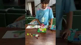 Assembling a LEGO House #lego #legosets #toys #legoaddict #kids #legofan #legocity