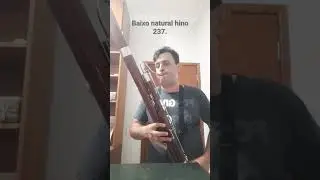 fagote ccb hino 237, baixo natural.