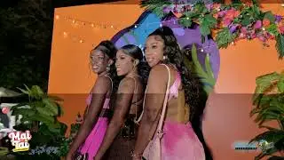 Mai Tai 2025 Highlight Vid