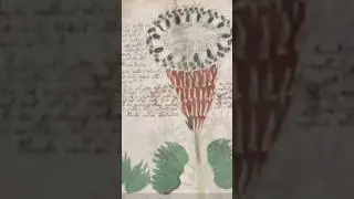 the mystry book( रस्यमयी किताब) #shorts  #mystr #mystry book