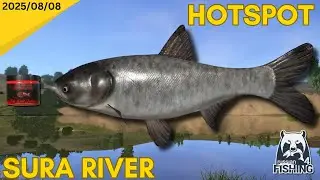 Sura Carp Hotspot - Russian Fishing 4