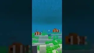 Nemo and Marlin be like in Minecraft!