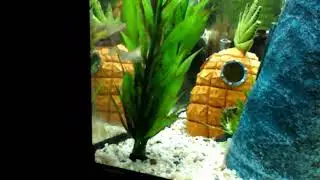 Clive and Graham the weather loaches flirting