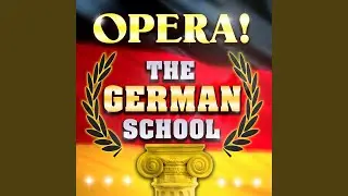 Lohengrin: Act II - Euch Lüften, Die Mein Klagen