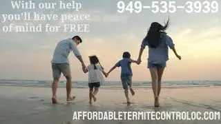 Termite Inspection Orange County -  Affordable Termite Control 949 535 3939