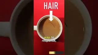 Mustache cups used in Victorian era #shorts #ytshorts