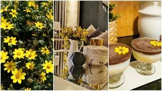 Spring Vlog🌻