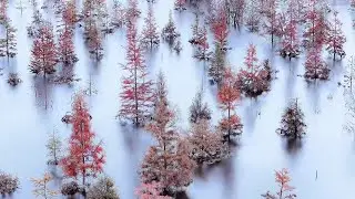 Xi&rsquo;an Autumn 4K &ndash; Relaxing Chinese Music and Stunning Yunnan Scenery | China Nature Video