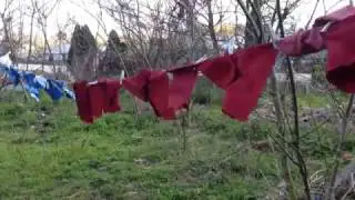 on the line: indigo and madder on cotton