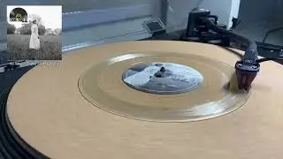 the lakes - Taylor Swift (2020) (RSD Vinyl) (HQ Vinyl Rip)
