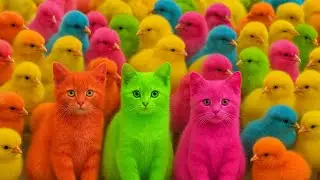Catch Cute Chickens, colorful chickens, rainbow chickens, cute rabbits, cute ducks, koi fish, Cut...