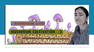 Microorganisms as Food Mushrooms   MicroBiology   Part 2
