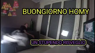 IL RISVEGLIO DI HOMYATOL | spaventato | sterlina spin |