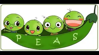 PEAS CoP   Follow up to Mental Health Session Case Scenarios
