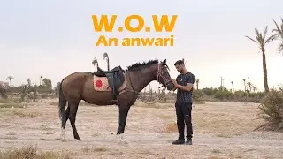 An anwari -W.O.W ( Prod by Tekilla Beats )