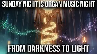 Organ Triptych: Spooky Sounds, Saints' Triumph, and Souls' Rest 👻✨