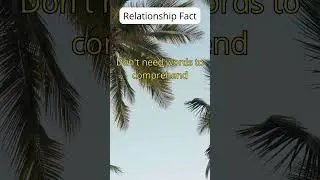 Relationship Fact - Partners who understand each other...  #facts #quotes #motivation