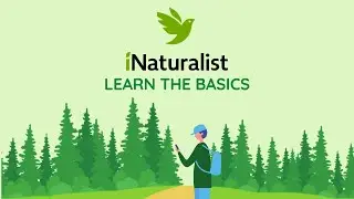 Introduction to iNaturalist | Regional Parks Snap & Share
