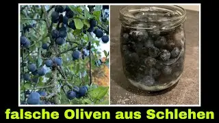falsche Oliven aus Schlehen selber machen | fermentieren mit Salzlake