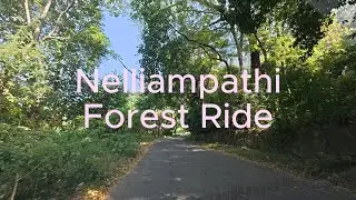 Nelliampathi Forest Ride | Kerala | Jungle | Family Trip | Palakkad,Kerala,India