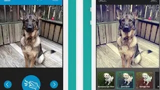 Barkcam for iPhone