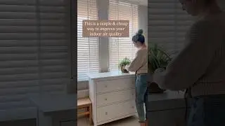 This is how you easily improve your indoor air quality 🌬️