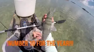 Fly Fishing for BONEFISH in the Florida Keys!