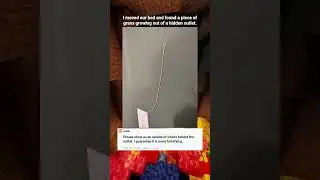 Немного интересно! #немногоинтересно #reddit